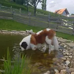 Liebe Zur Steiermark / Haus Tyrol Apartamento Jagerberg