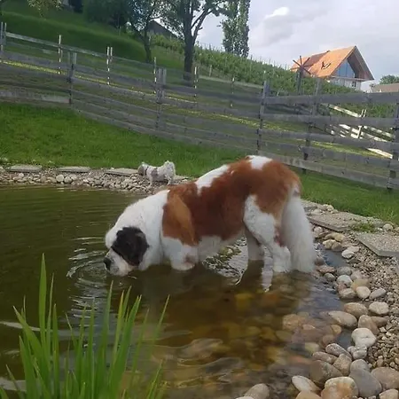 Liebe Zur Steiermark / Haus Tyrol Διαμέρισμα Jagerberg
