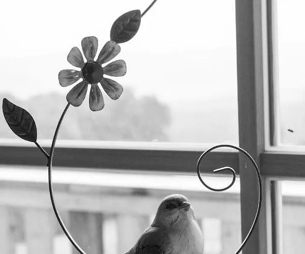 Liebe Zur Steiermark / Haus Tyrol *